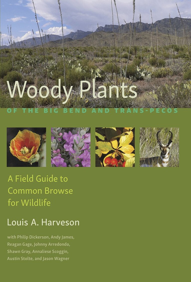 Louis A. Harveson - Woody Plants of the Big Bendand Trans-Pecos, Häftad. Tillgänglighet: Tillfälligt slut