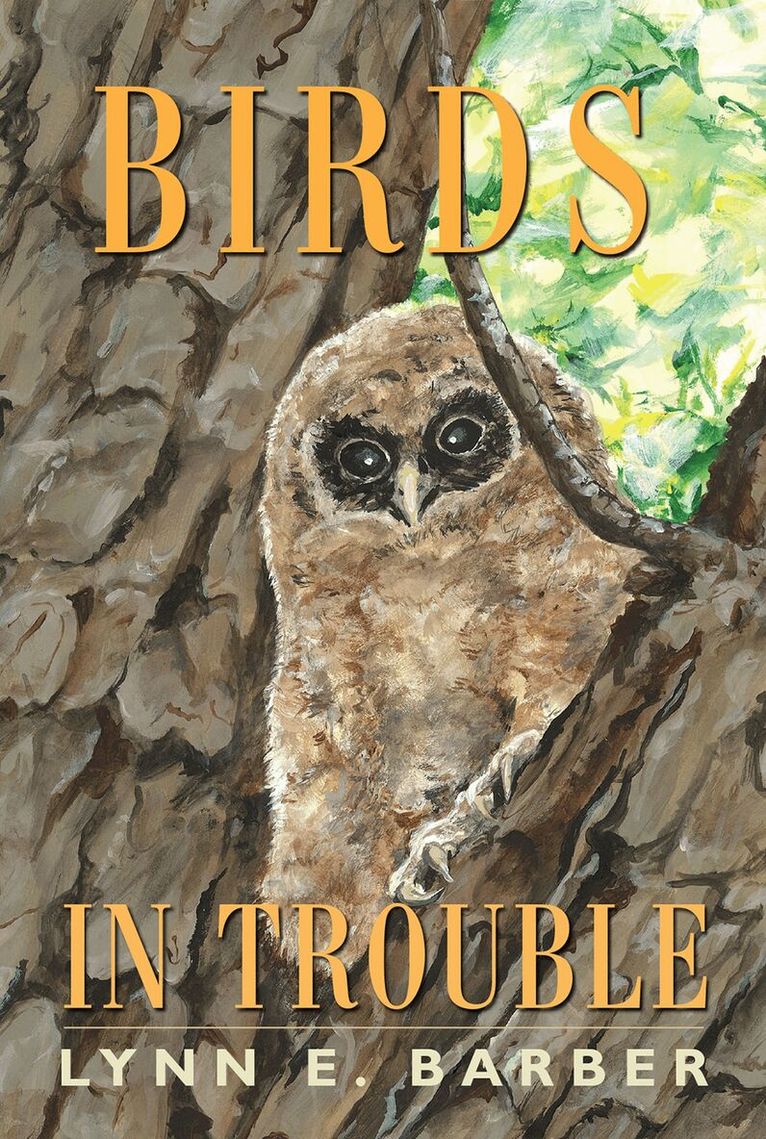 Lynn E. Barber - Birds in Trouble, Häftad. Tillgänglighet: Tillfälligt slut