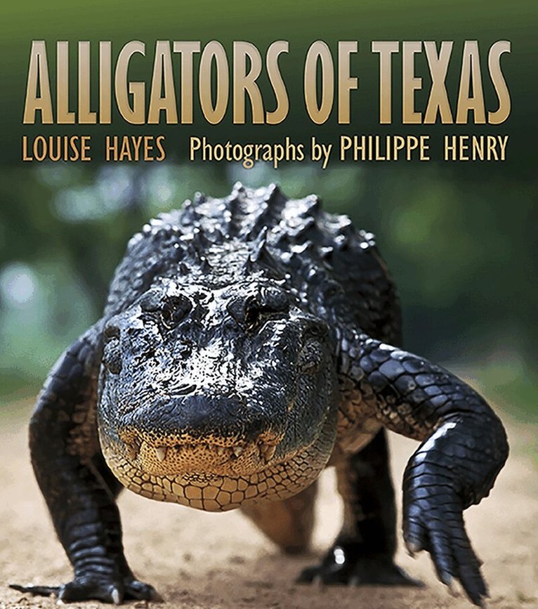 Louise Hayes-Odum - Alligators of Texas, Häftad. Tillgänglighet: Tillfälligt slut