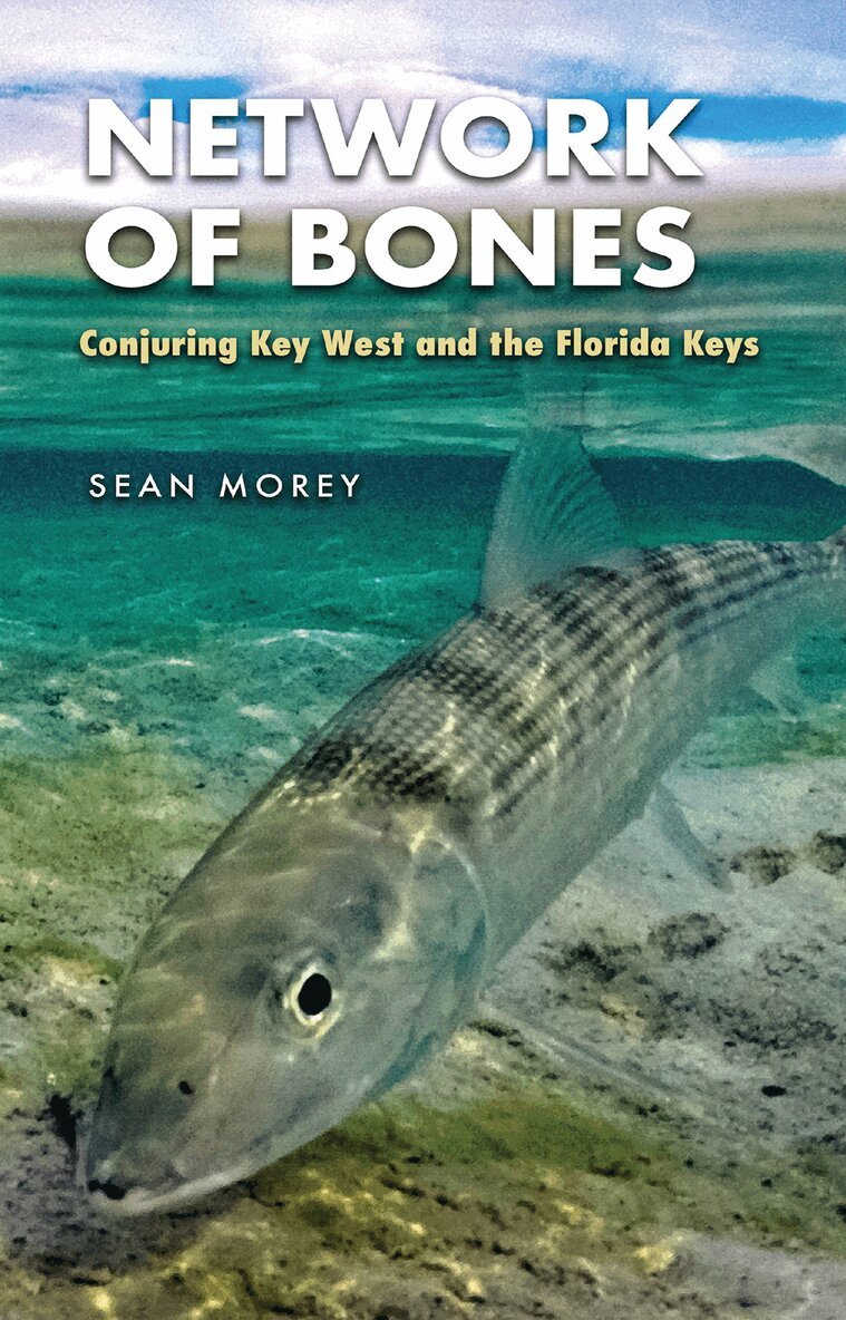 Sean Morey - Network of Bones, Häftad. Tillgänglighet: Tillfälligt slut