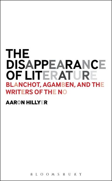 Disappearance of Literature av Aaron Hillyer, Dr Aaron Hillyer, Aaron Hillyer