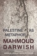 Palestine as Metaphor
