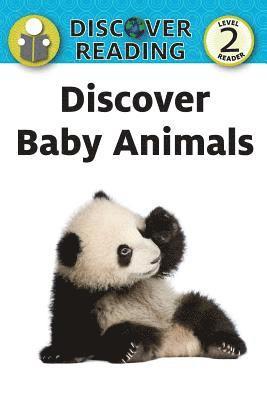 Xist Publishing - Discover Baby Animals, Häftad