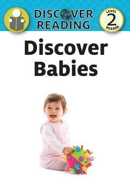 Xist Publishing - Discover Babies, Häftad