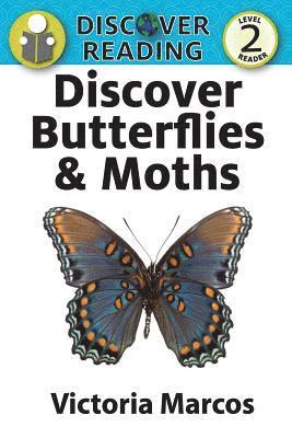 Victoria Marcos - Discover Butterflies & Moths, Häftad