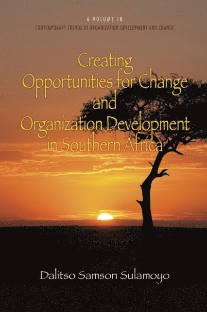 Dalitso Samson Sulamoyo - Creating Opportunities for Change and Organization Development in Southern Africa, E-bok