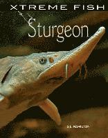 S. L. Hamilton - Sturgeon, Inbunden