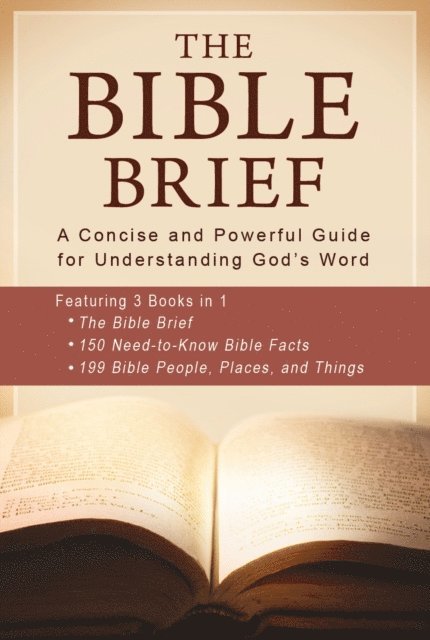Jean Fischer, Ed Strauss, Tracy M. Sumner - Bible Brief, E-bok