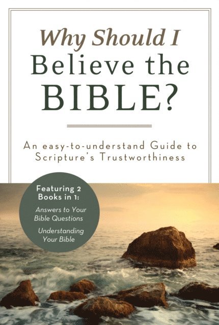 John A. Beck, Ed Strauss - Why Should I Believe the Bible?, E-bok