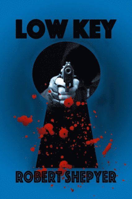 Robert Shepyer - Low Key, E-bok