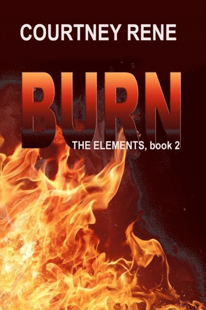 Courtney Rene - Burn, E-bok
