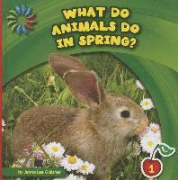 Jenna Lee Gleisner - What Do Animals Do in Spring?, Inbunden