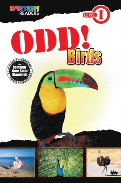 Teresa Domnauer - Odd! Birds, E-bok. Tillgänglighet: Lägg i varukorg