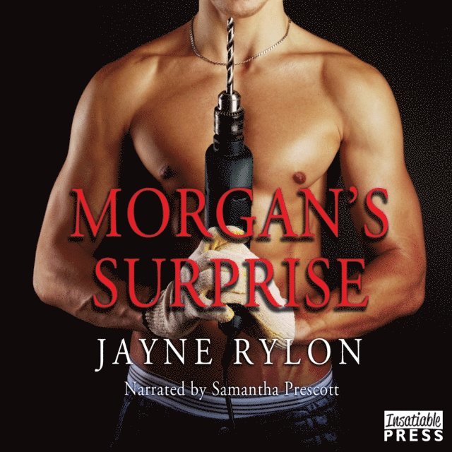 Jayne Rylon - Morgan's Surprise, Ljudbok