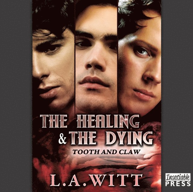 L.A. Witt - Healing and the Dying, Ljudbok