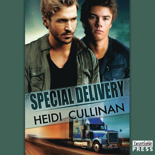 Heidi Cullinan - Special Delivery, Ljudbok
