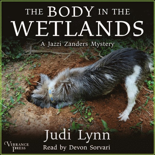 Judi Lynn - Body in the Wetlands, Ljudbok