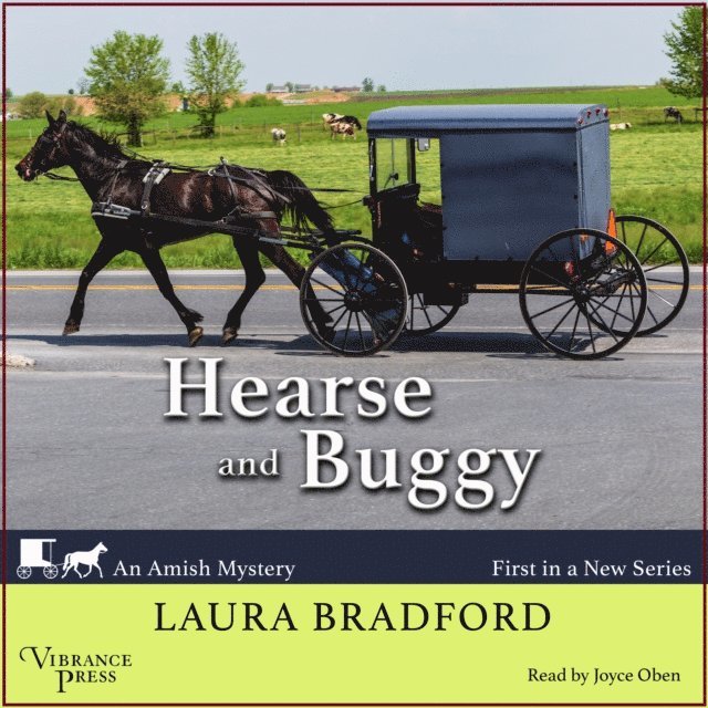 Laura Bradford - Hearse and Buggy, Ljudbok