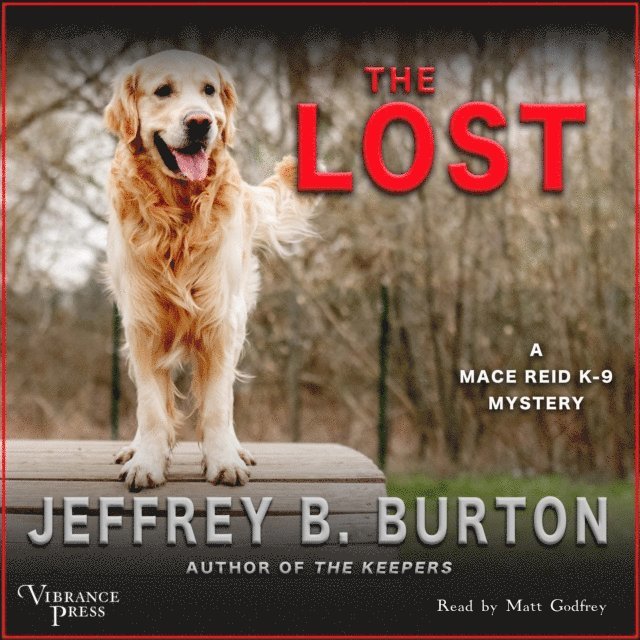 Jeffrey B. Burton - Lost, Ljudbok