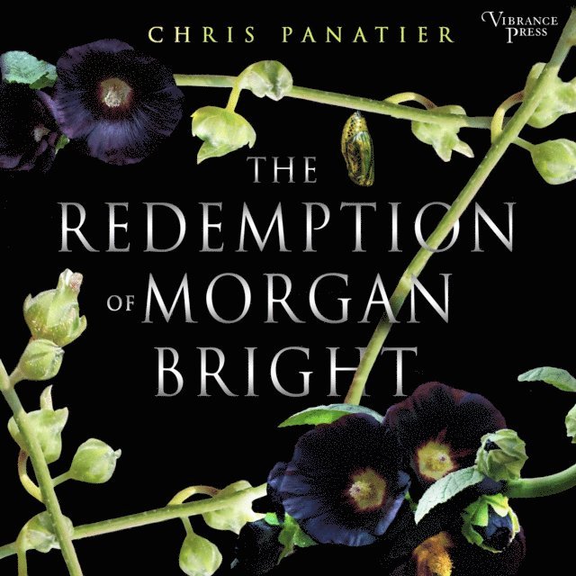 Chris Panatier - Redemption of Morgan Bright, Ljudbok