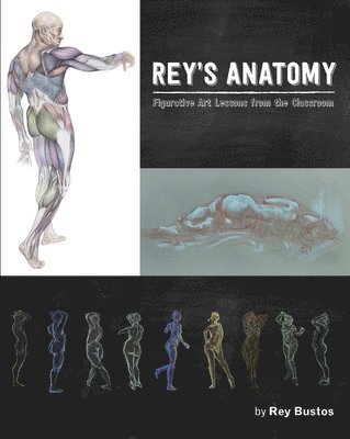 Rey Bustos - Rey’s Anatomy, Häftad