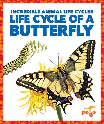 Karen Kenney - Life Cycle of a Butterfly, Häftad
