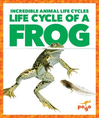 Karen Kenney - Life Cycle of a Frog, Häftad. Tillgänglighet: Lägg i varukorg