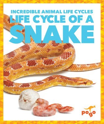 Karen Kenney - Life Cycle of a Snake, Häftad. Tillgänglighet: Lägg i varukorg