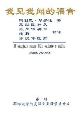 Maria Valtorta, Hon-Wai Hui - The Gospel As Revealed to Me (Vol 3) - Simplified Chinese Edition, Häftad. Tillgänglighet: Lägg i varukorg