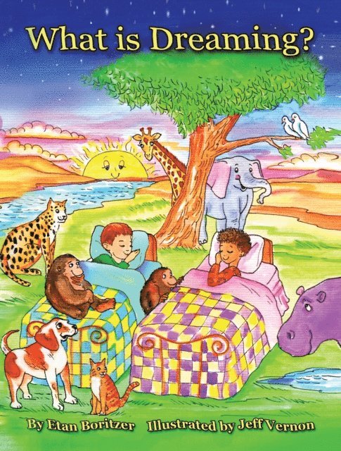 Etan Boritzer - What is Dreaming?, E-bok