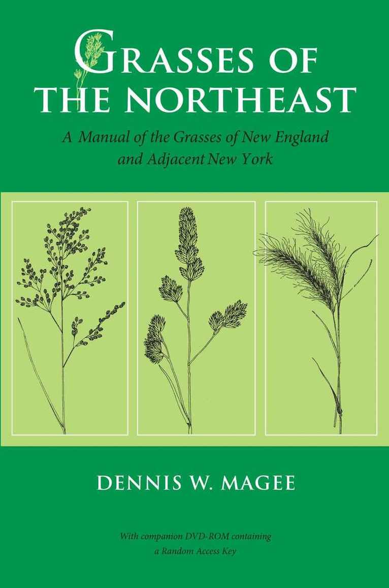 Dennis W. Magee - Grasses of the Northeast, Häftad