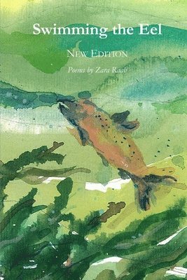 Zara Raab - Swimming the Eel, Häftad