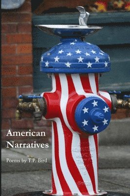 T P Bird - American Narratives, Häftad