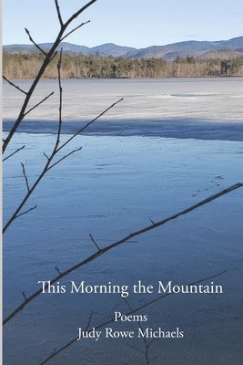 Judy Rowe Michaels - This Morning the Mountain, Häftad. Tillgänglighet: Tillfälligt slut