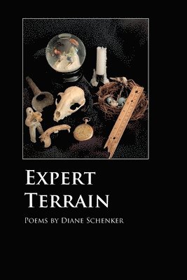 Diane Schenker - Expert Terrain, Häftad