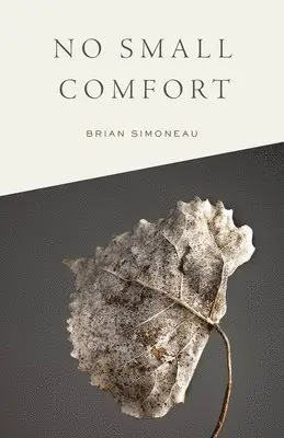 Brian Simoneau - No Small Comfort, Häftad. Tillgänglighet: Lägg i varukorg