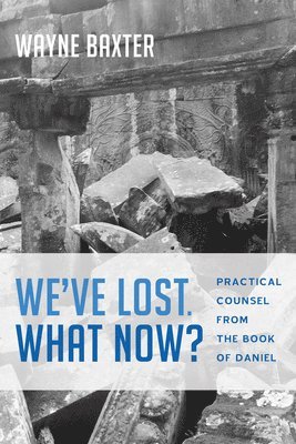 Wayne Baxter - We've Lost. What Now?, Häftad