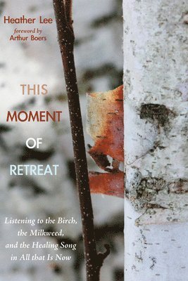 Heather Lee - This Moment of Retreat, Häftad
