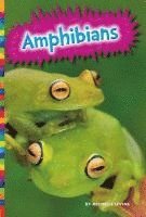 Michelle Levine - Amphibians, Häftad