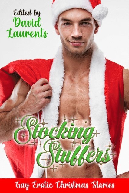 David Laurents - Stocking Stuffers - Gay Erotic Christmas Stories, E-bok