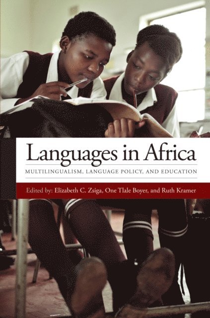 Ruth Kramer, One Tlale Boyer, Elizabeth C. Zsiga - Languages in Africa, E-bok
