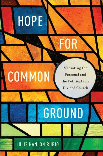 Julie Hanlon Rubio - Hope for Common Ground, E-bok