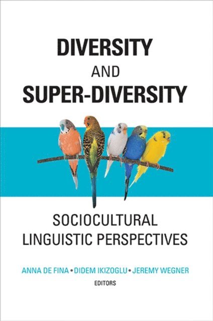 Jeremy Wegner, Didem Ikizoglu, Anna De Fina - Diversity and Super-Diversity, E-bok