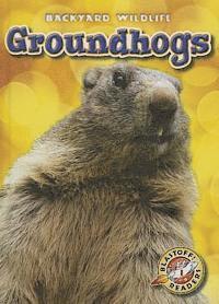 Kari Schuetz - Groundhogs, Inbunden