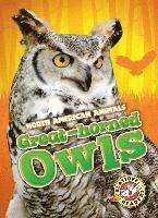 Christina Leaf - Great Horned Owls, Häftad