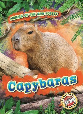 Rachel Grack - Capybaras, Inbunden