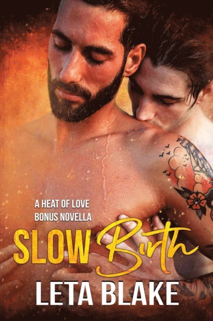 Leta Blake - Slow Birth, E-bok