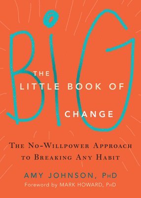 Little Book of Big Change av Amy Johnson