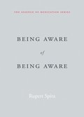 Being Aware of Being Aware