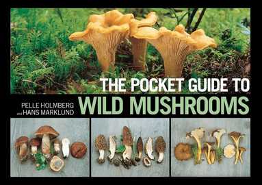 Pelle Holmberg, Hans Marklund - Pocket Guide to Wild Mushrooms, E-bok